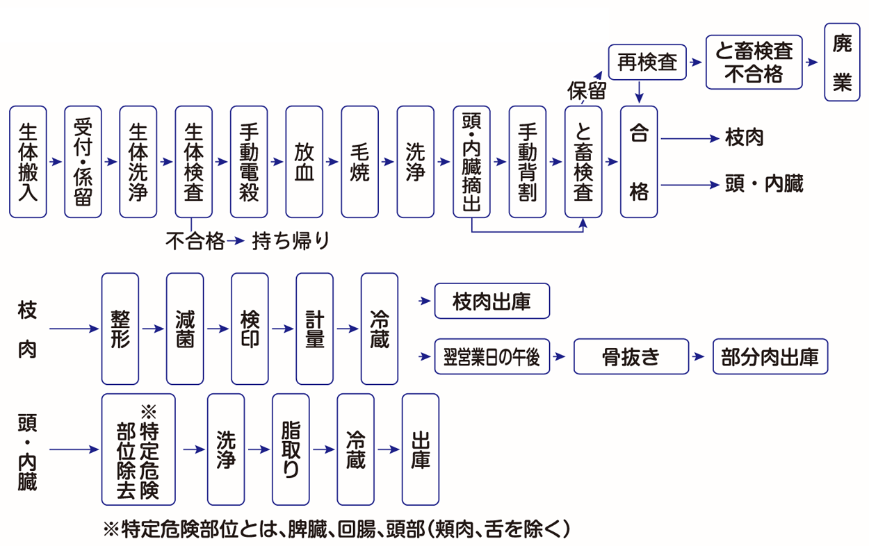 山羊と畜解体処理工程