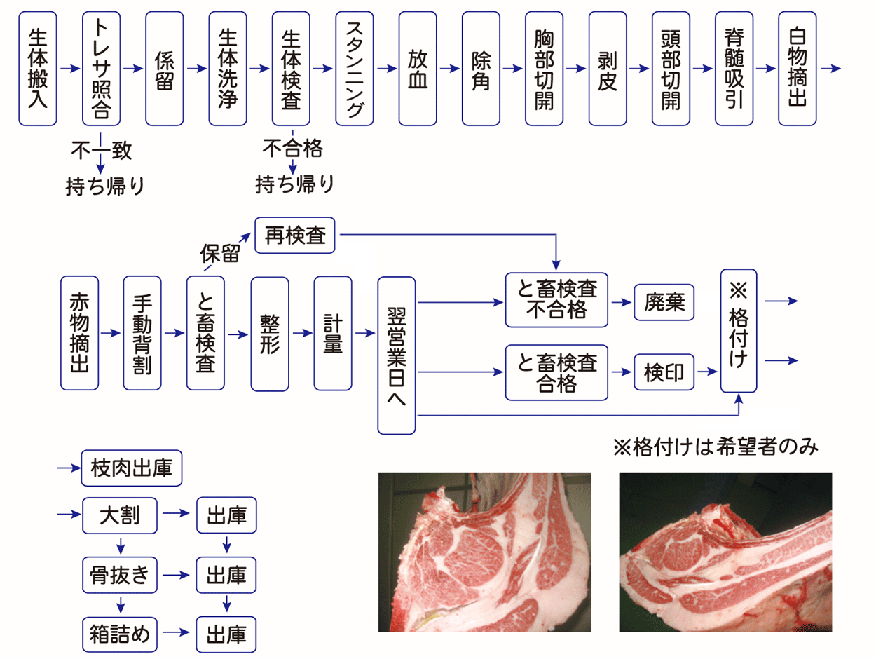 牛と畜解体処理工程